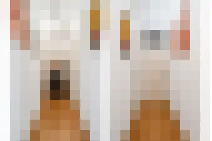 Livingstonelaan 1138 Utrecht thumbnail 12