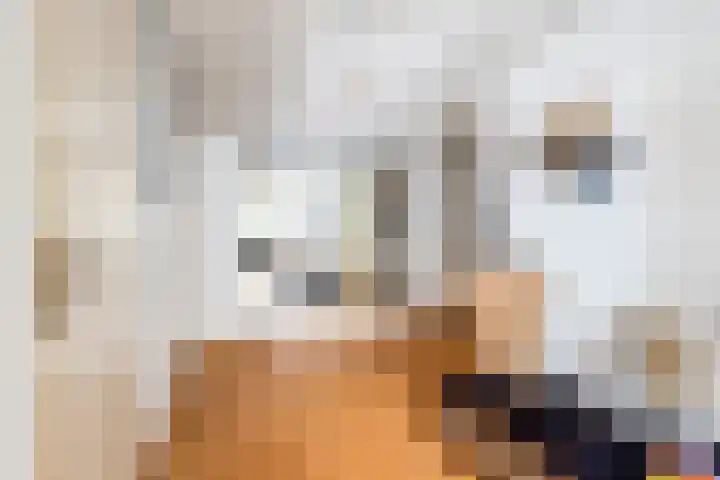 Livingstonelaan 1138 Utrecht thumbnail 15