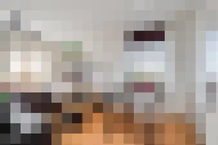 Livingstonelaan 1138 Utrecht thumbnail 16