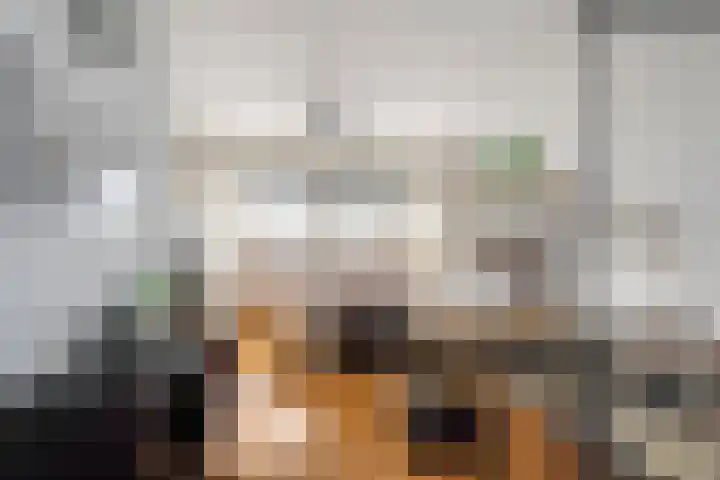 Livingstonelaan 1138 Utrecht thumbnail 17