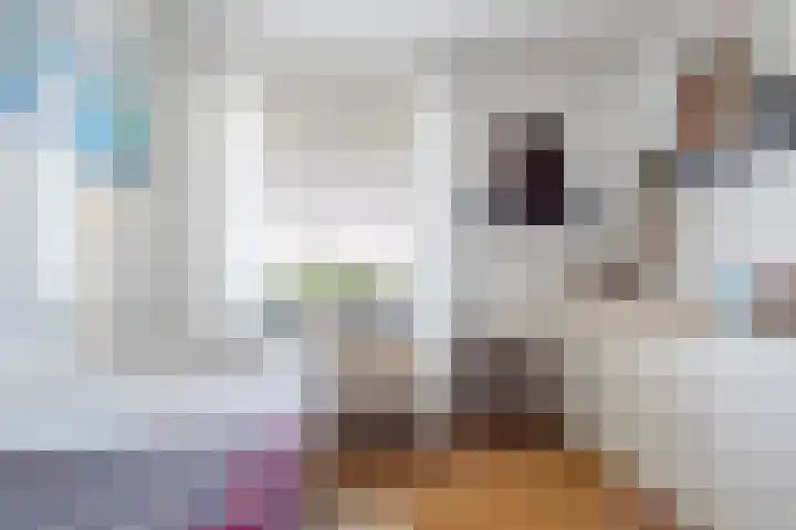 Livingstonelaan 1138 Utrecht thumbnail 20