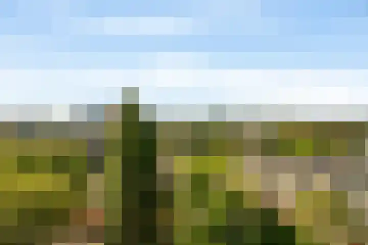 Livingstonelaan 1138 Utrecht thumbnail 28