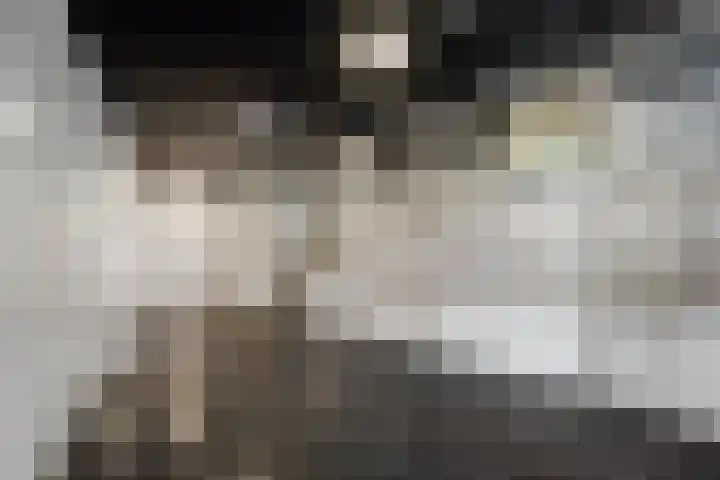 Livingstonelaan 1138 Utrecht thumbnail 30