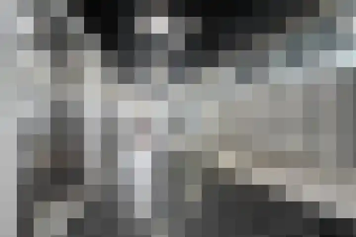 Livingstonelaan 1138 Utrecht thumbnail 31