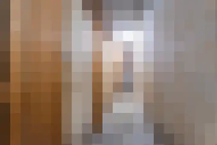 Livingstonelaan 1138 Utrecht thumbnail 33