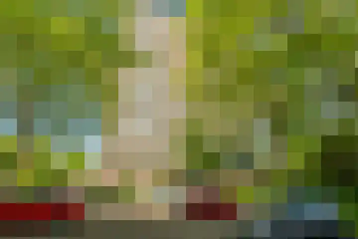 Livingstonelaan 1138 Utrecht thumbnail 34