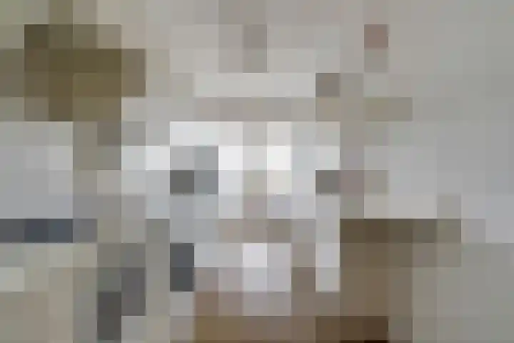 Livingstonelaan 1138 Utrecht thumbnail 8