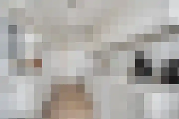 Livingstonelaan 1138 Utrecht thumbnail 9