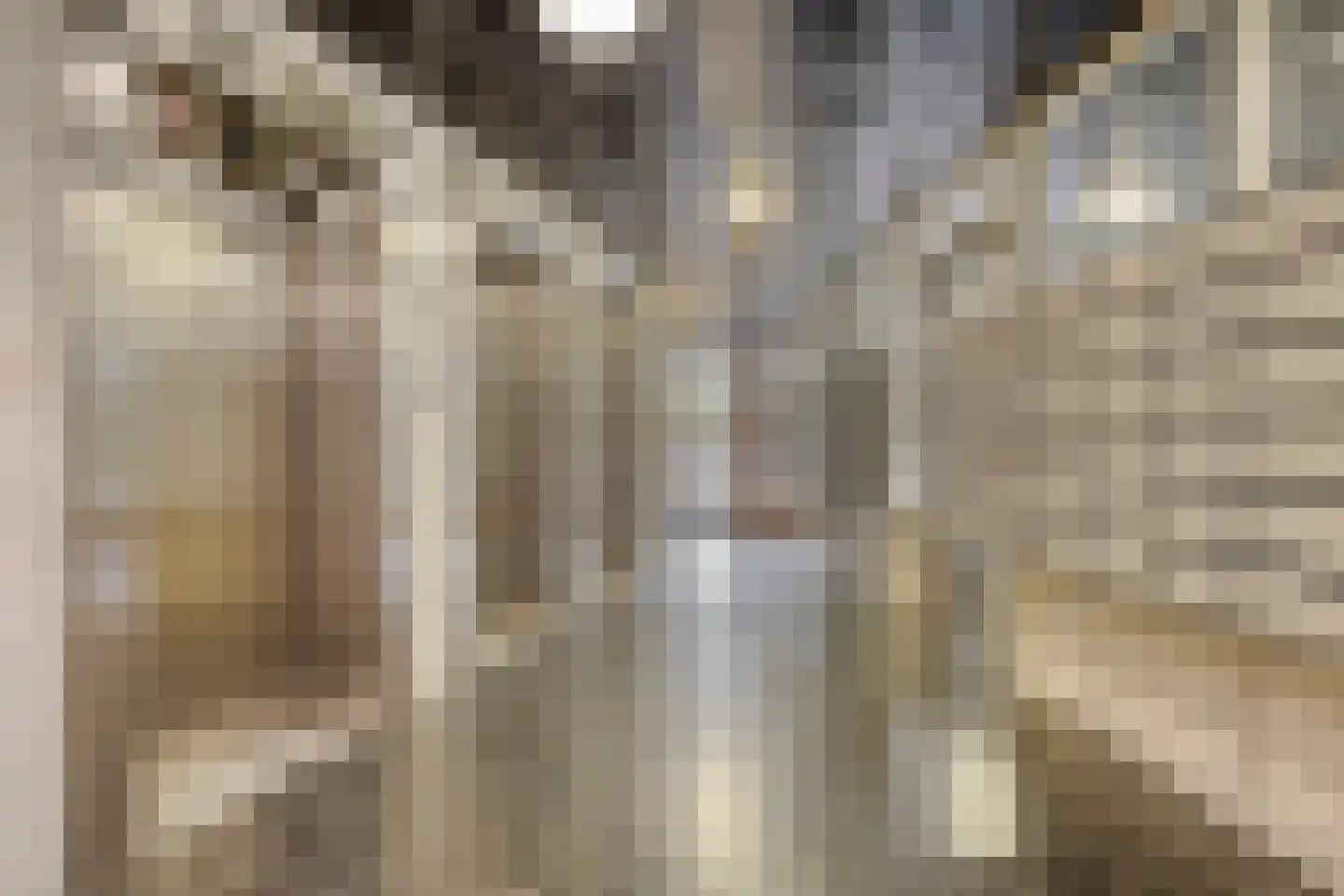 Livingstonelaan 1144 Utrecht thumbnail 27