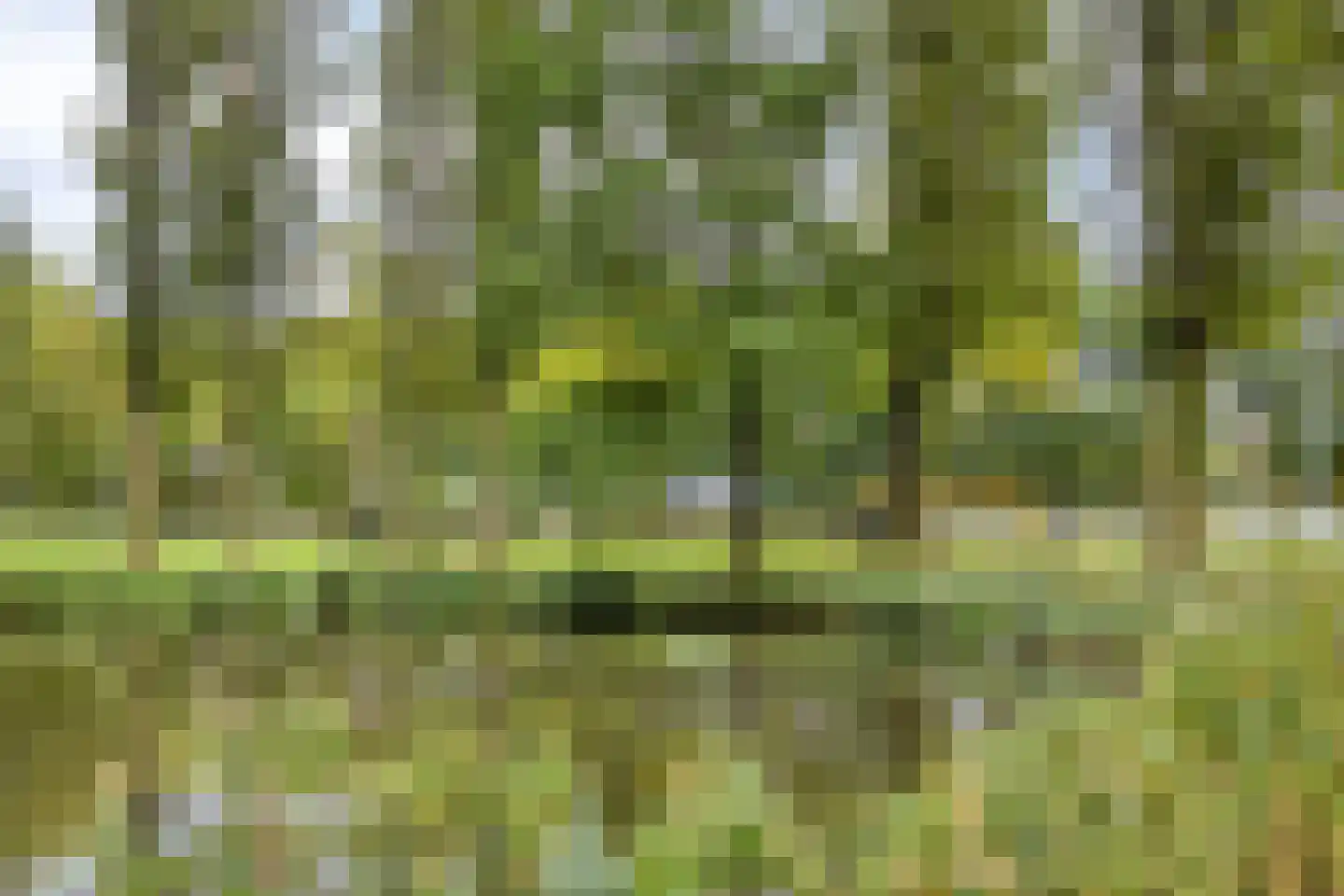 Livingstonelaan 1144 Utrecht thumbnail 31