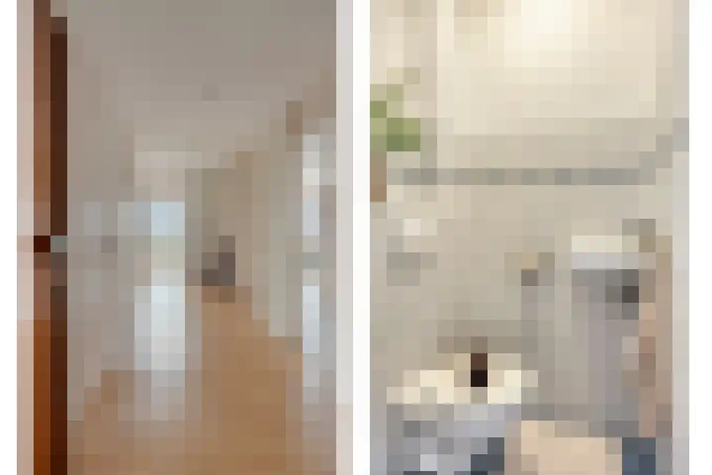 Livingstonelaan 1144 Utrecht thumbnail 5