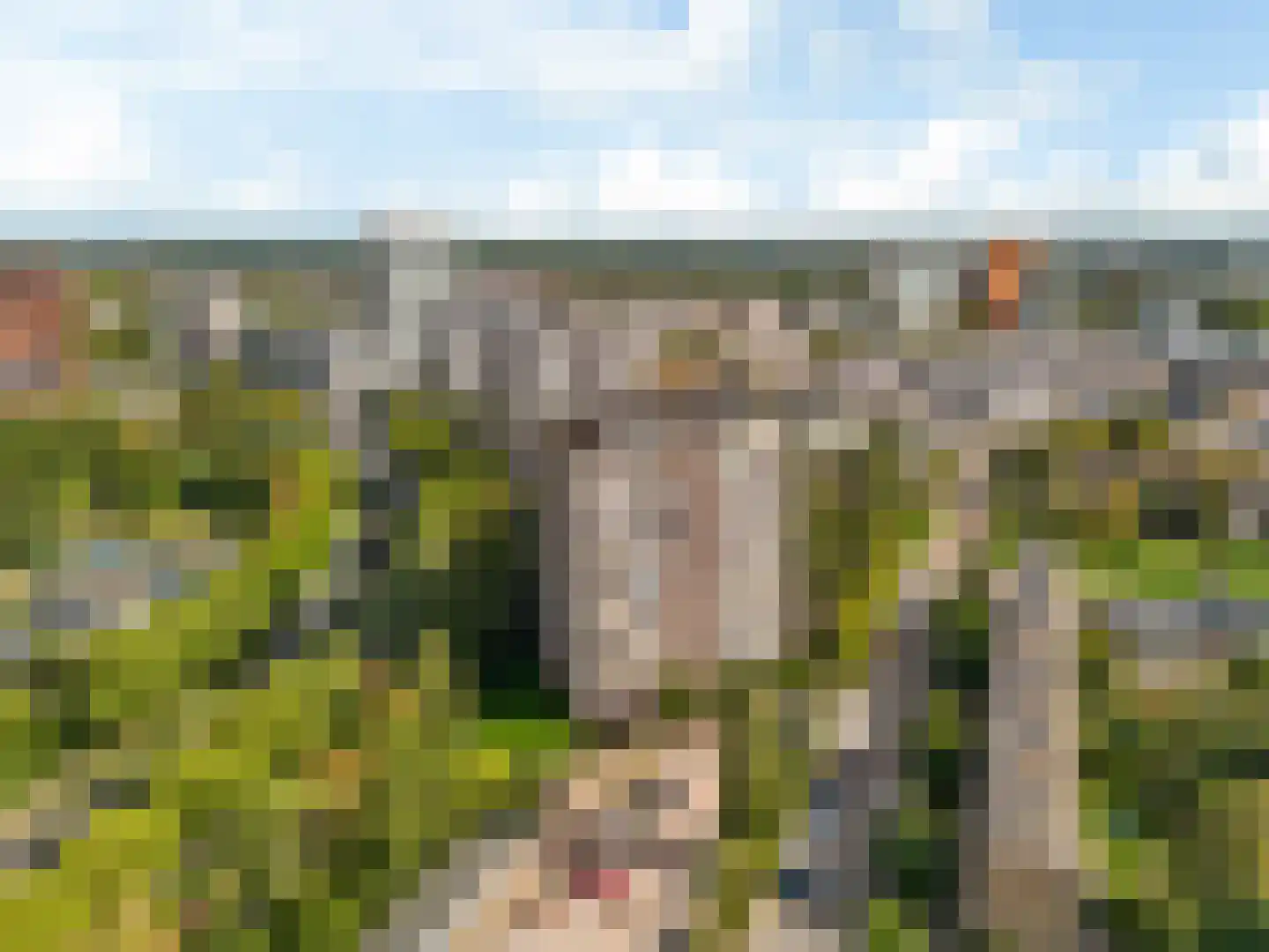Livingstonelaan 1176 Utrecht thumbnail 12