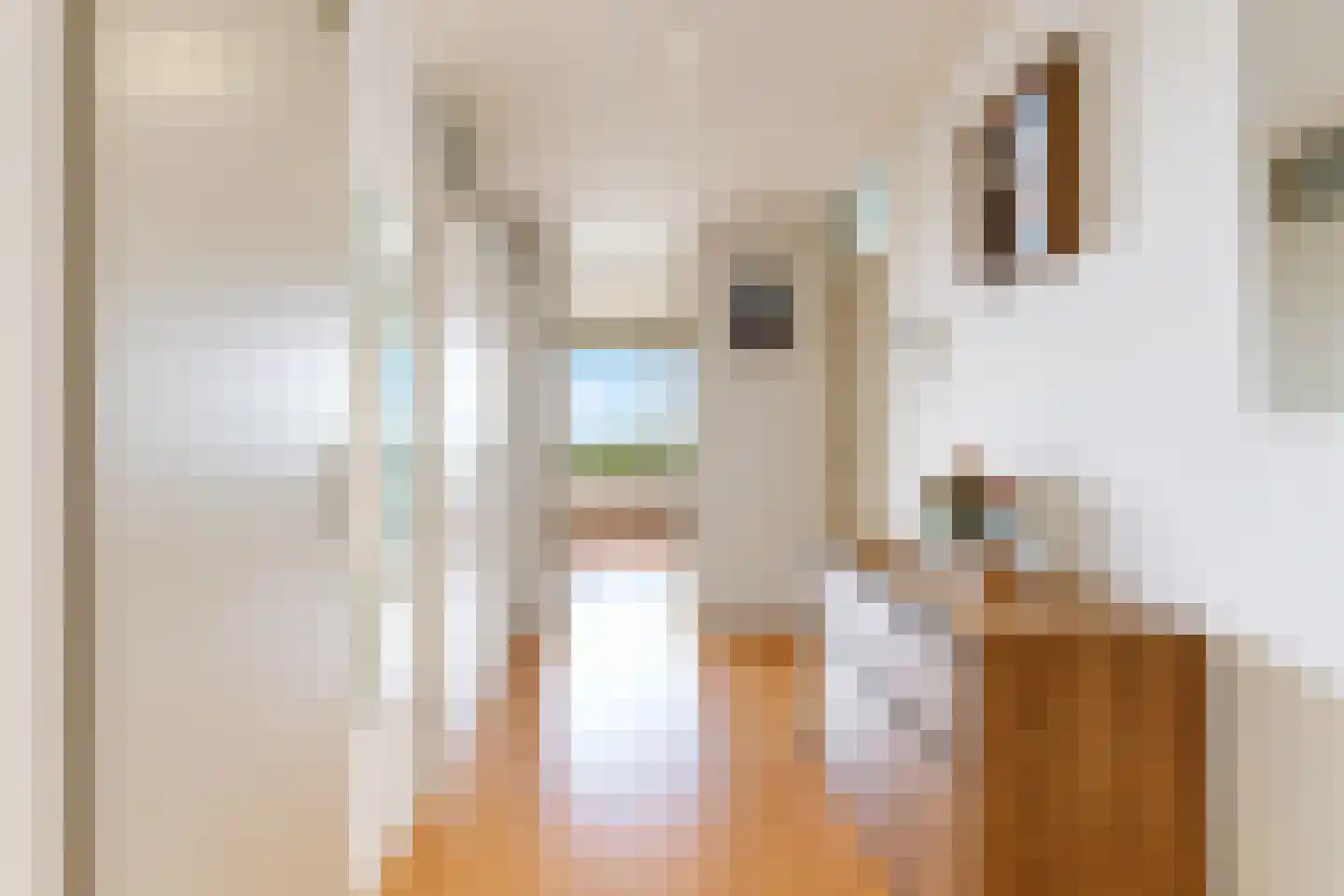 Livingstonelaan 1176 Utrecht thumbnail 15