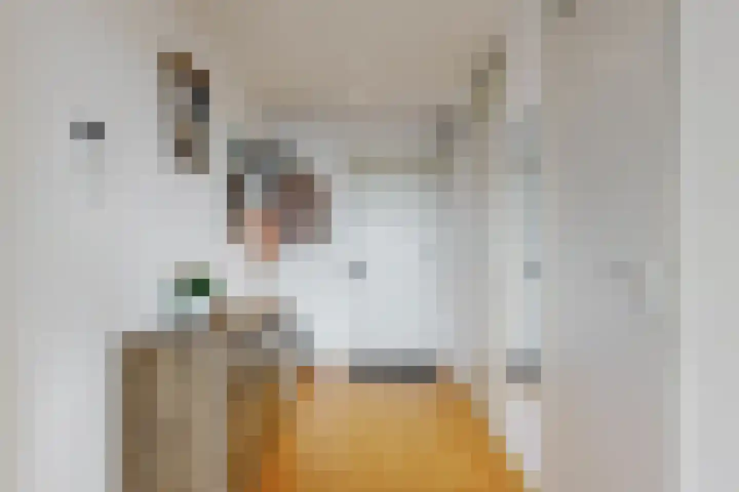Livingstonelaan 1176 Utrecht thumbnail 16