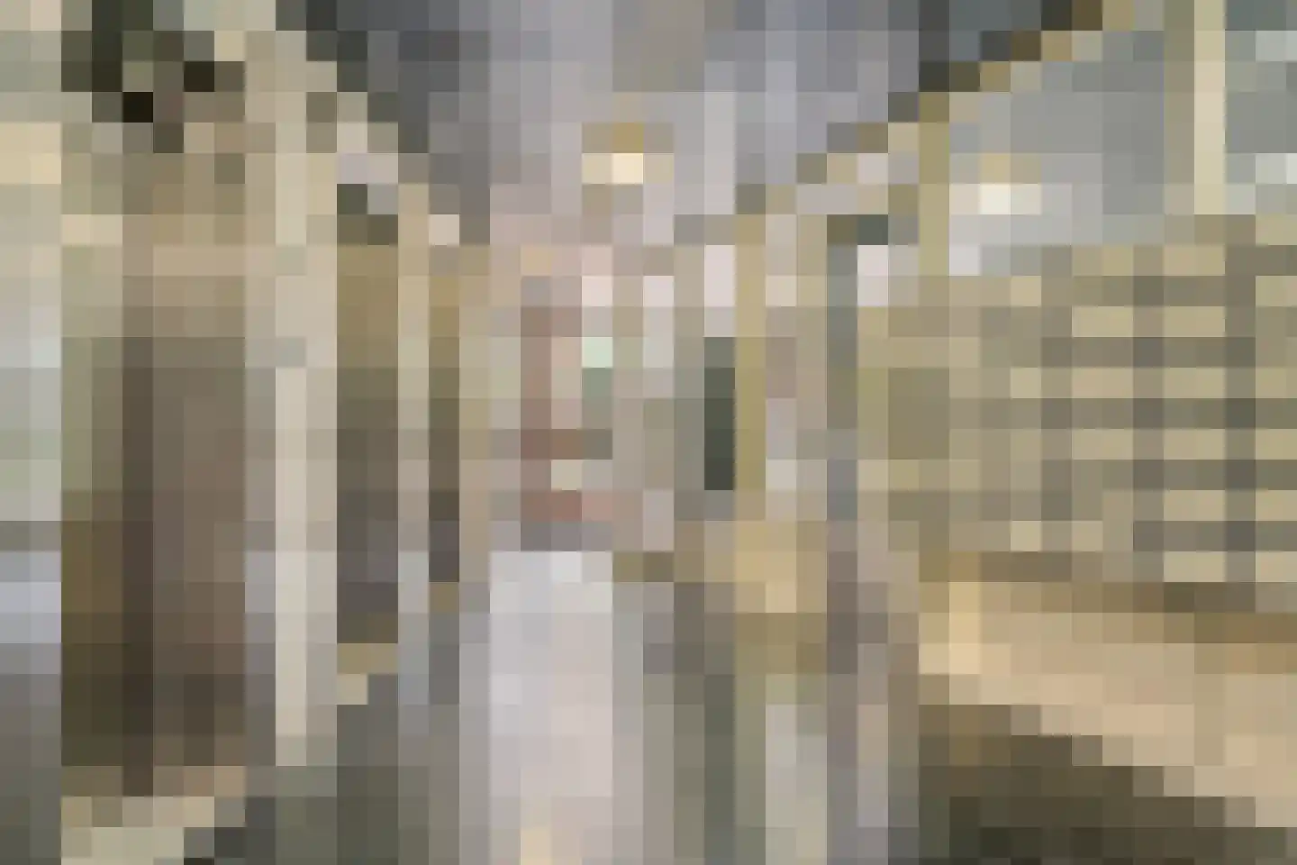 Livingstonelaan 1176 Utrecht thumbnail 28