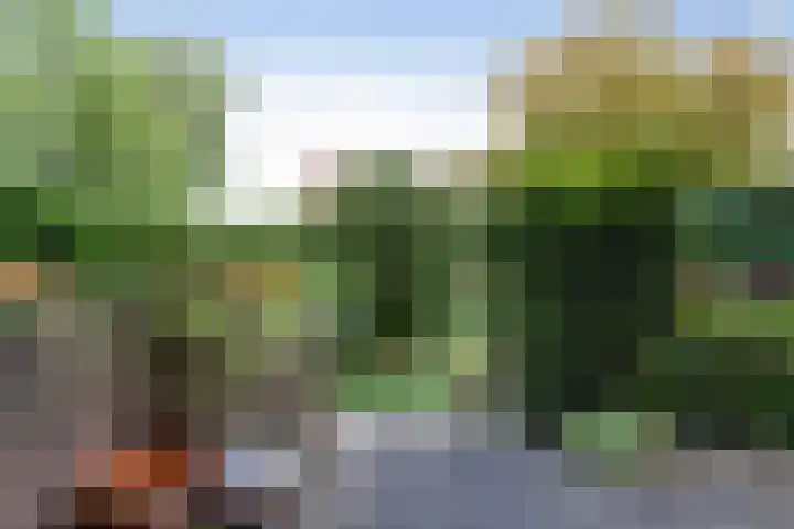 Livingstonelaan 14 Gouda thumbnail 36