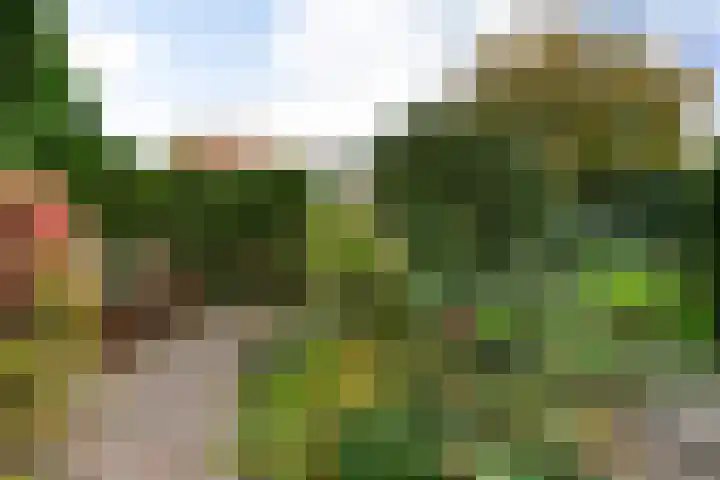 Livingstonelaan 14 Gouda thumbnail 37