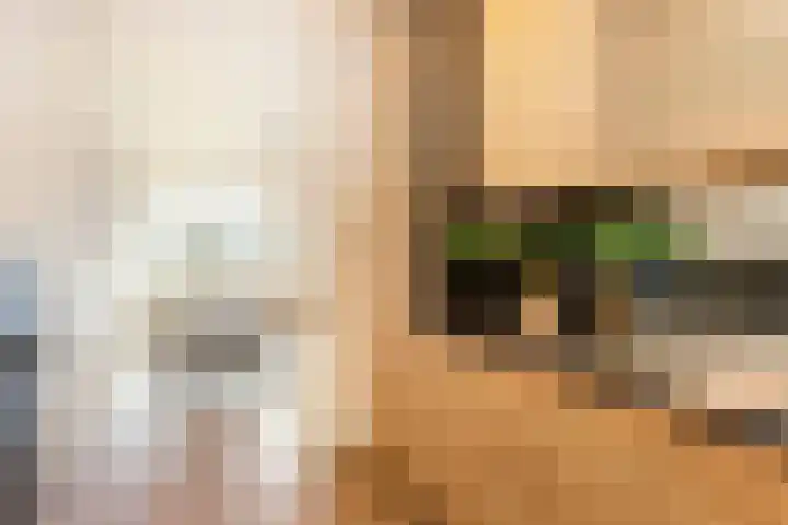 Livingstonelaan 144 Utrecht thumbnail 17
