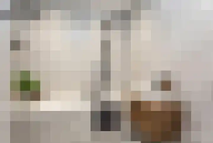 Livingstonelaan 144 Utrecht thumbnail 22