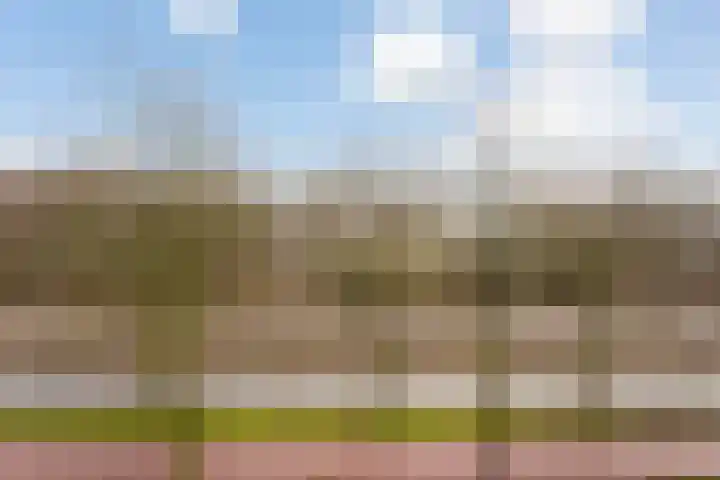 Livingstonelaan 144 Utrecht thumbnail 26