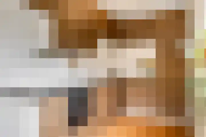 Livingstonelaan 148 Utrecht thumbnail 10