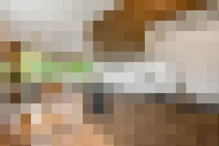 Livingstonelaan 148 Utrecht thumbnail 11