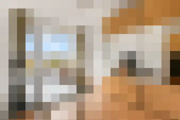 Livingstonelaan 148 Utrecht thumbnail 12