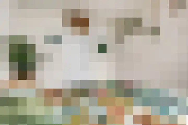 Livingstonelaan 148 Utrecht thumbnail 19