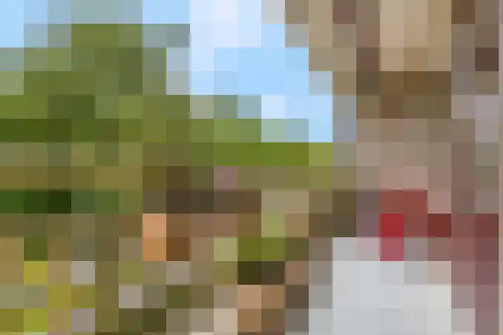 Livingstonelaan 148 Utrecht thumbnail 20