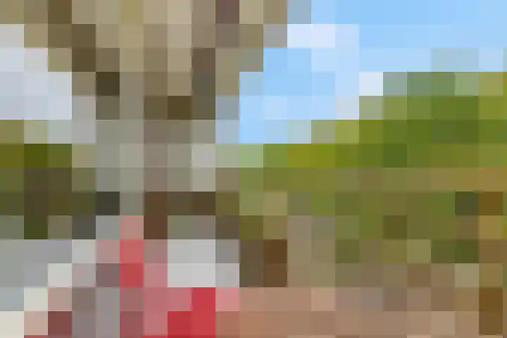 Livingstonelaan 148 Utrecht thumbnail 21