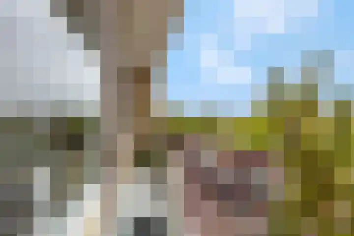 Livingstonelaan 148 Utrecht thumbnail 23