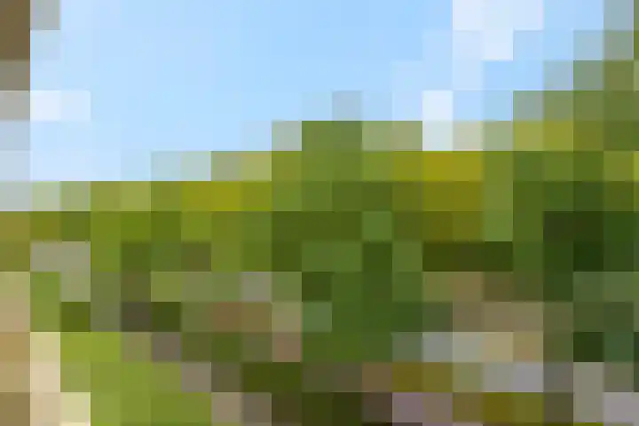 Livingstonelaan 148 Utrecht thumbnail 24