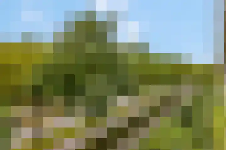 Livingstonelaan 148 Utrecht thumbnail 25