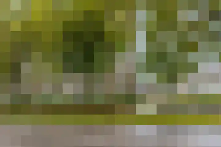 Livingstonelaan 148 Utrecht thumbnail 26