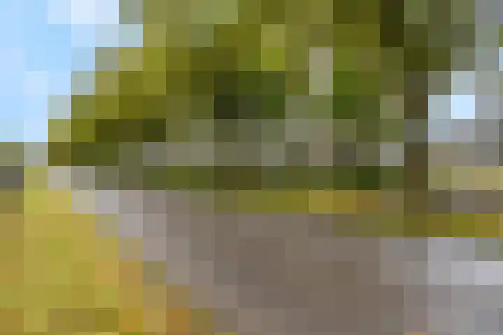 Livingstonelaan 148 Utrecht thumbnail 27