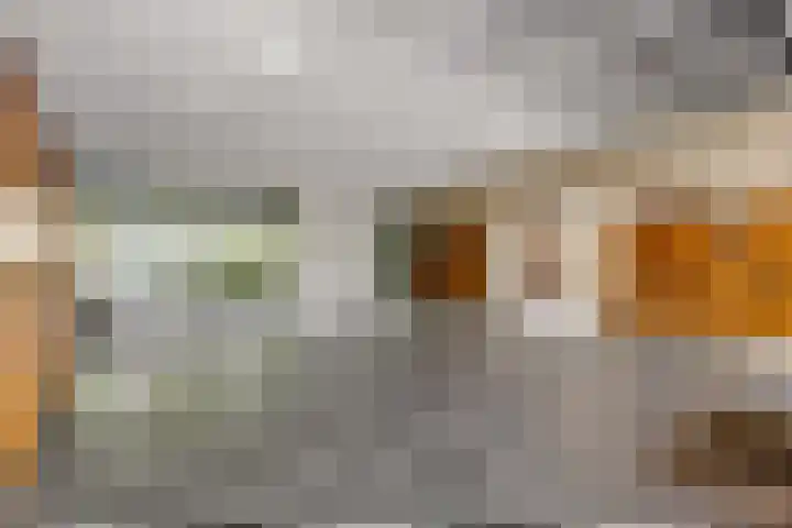 Livingstonelaan 148 Utrecht thumbnail 28