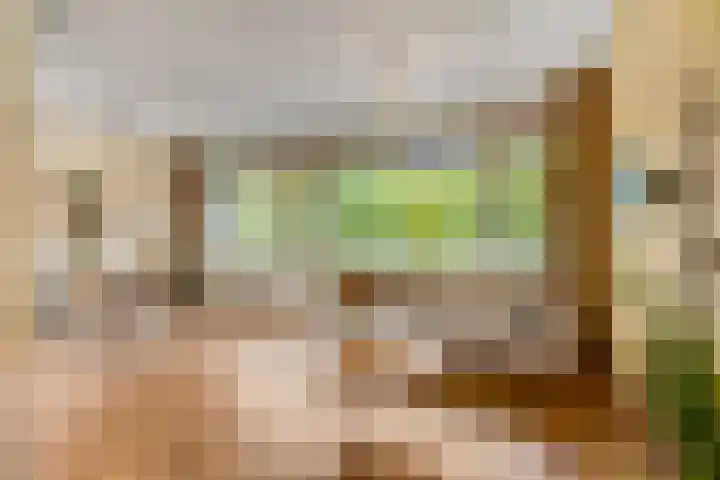 Livingstonelaan 148 Utrecht thumbnail 5