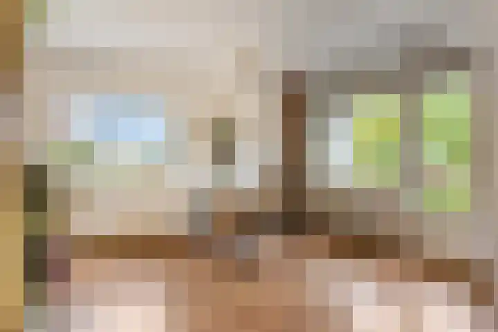 Livingstonelaan 148 Utrecht thumbnail 9
