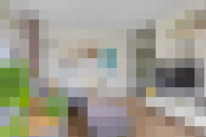 Livingstonelaan 174 Utrecht thumbnail 22