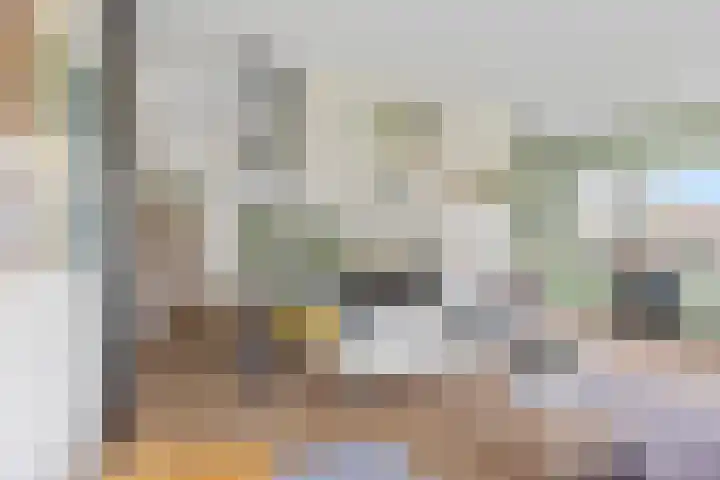 Livingstonelaan 174 Utrecht thumbnail 23