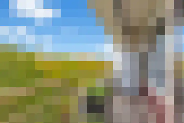 Livingstonelaan 174 Utrecht thumbnail 31