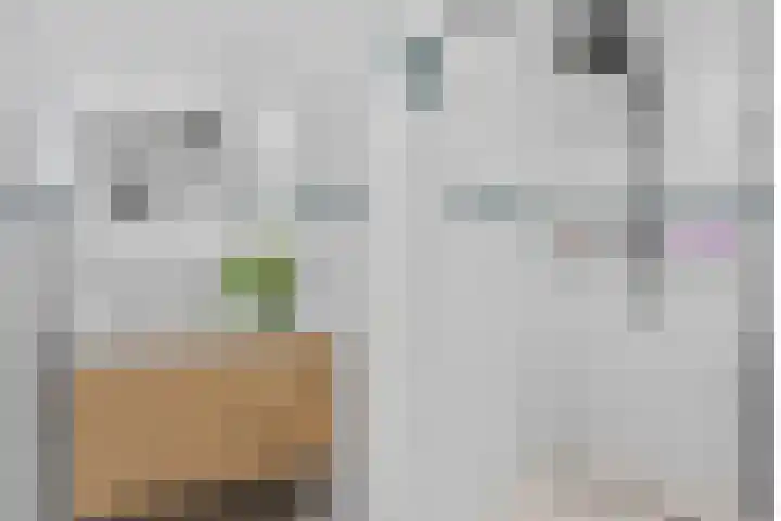 Livingstonelaan 174 Utrecht thumbnail 41