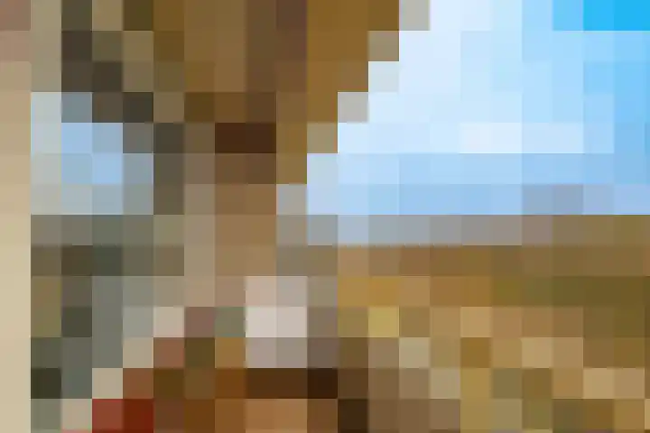 Livingstonelaan 184 Utrecht thumbnail 16