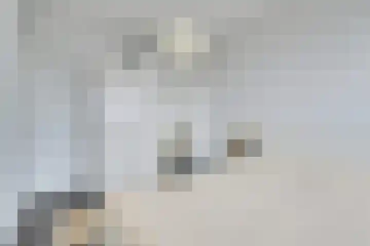 Livingstonelaan 184 Utrecht thumbnail 20
