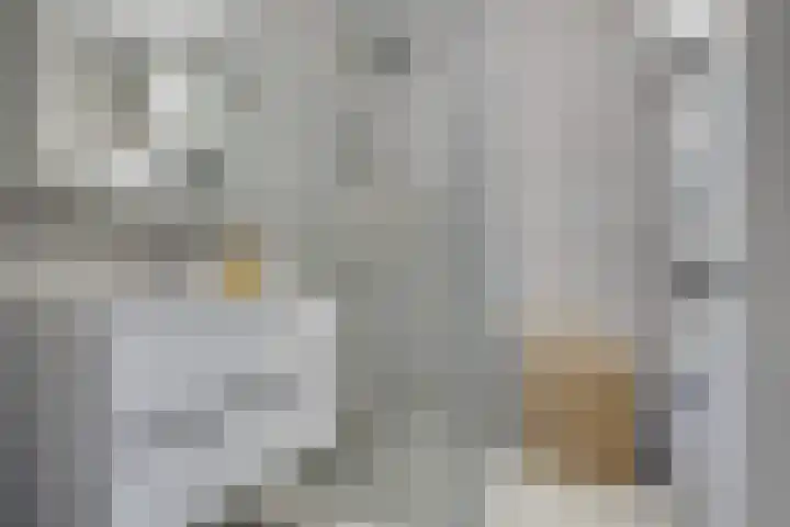 Livingstonelaan 184 Utrecht thumbnail 23