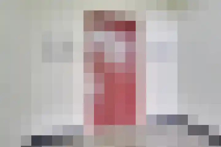 Livingstonelaan 184 Utrecht thumbnail 30