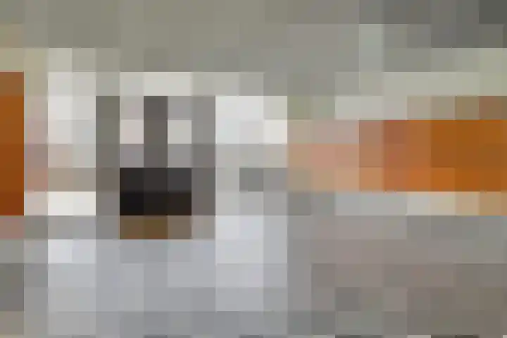 Livingstonelaan 184 Utrecht thumbnail 33