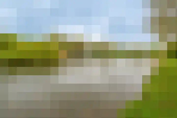 Livingstonelaan 184 Utrecht thumbnail 34