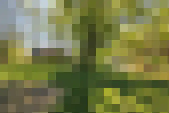Livingstonelaan 184 Utrecht thumbnail 35