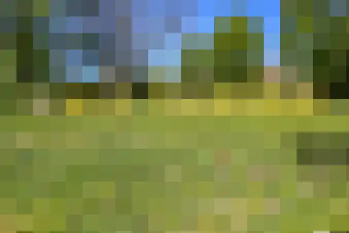Livingstonelaan 184 Utrecht thumbnail 37